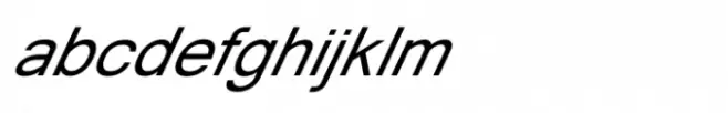 Shree Gujarati 1163 Italic