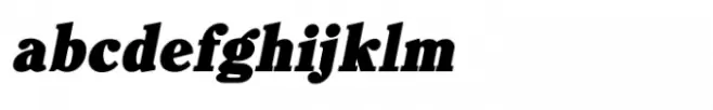 Shree Gujarati 3366 Italic