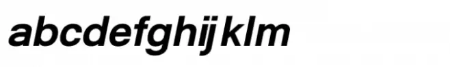 Shree Punjabi 0957 Italic