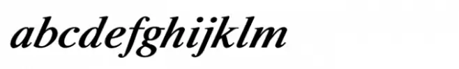 Shree Tamil  0838 Bold Italic