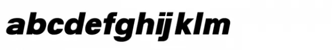 Shree Tamil 3949 Italic