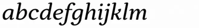Skema Pro Omni Italic