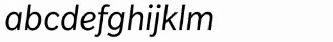 Slate Book Italic
