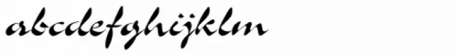Slogan D