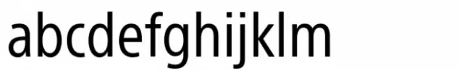 SST Japanese Condensed