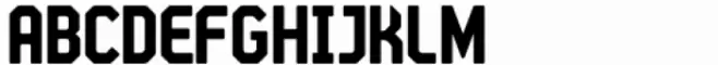 STP Display Cyrillic Bold
