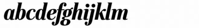 Stepp Ultra Italic