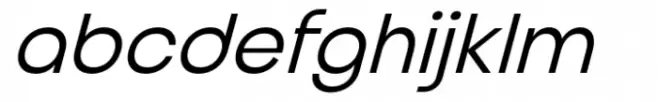 Stoner PS Regular Italic
