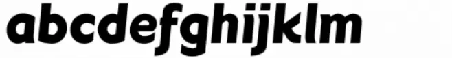 Teorema Black Italic