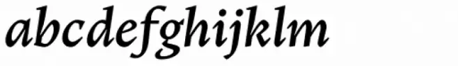 Teramo Text Medium Italic