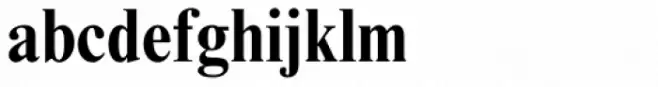 Times New Roman Pro Condensed Bold