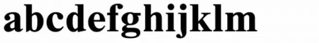 Times New Roman Seven Std Bold