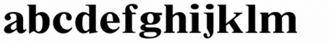 Times New Roman Small Text Std Bold