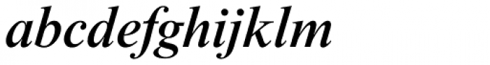 Times New Roman Std Medium Italic