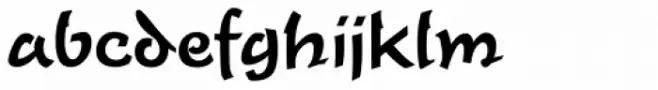 Tioga Script Pro Medium