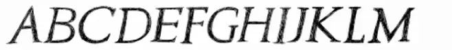 Traiectum Italic