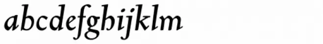 Truesdell Std Bold Italic
