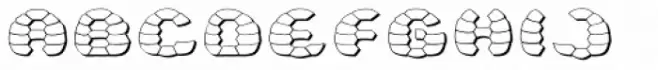 Turtle 3D