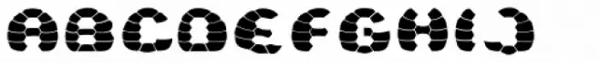 Turtle Black