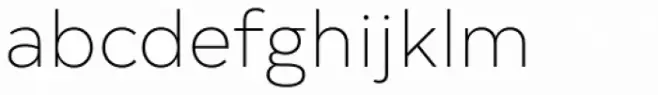 Typold Thin