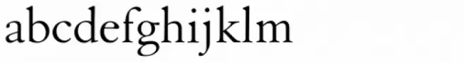 Van Dijck Std Roman
