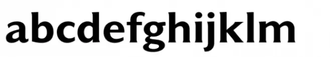 Varisse Soft Sans Bold