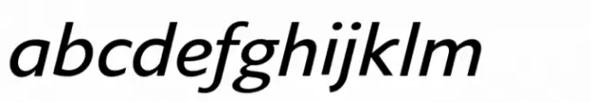 Varisse Variable Italic