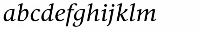 Vernacular Serif Italic