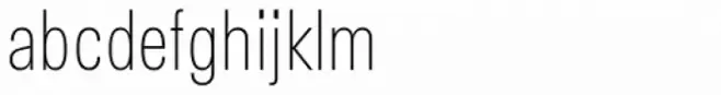 Vinila Compressed Thin