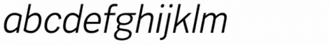 Voice Book Italic