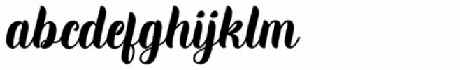Wildaloney Italic