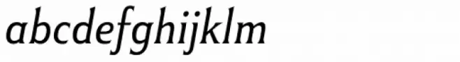 Winsel Norm Thin Italic
