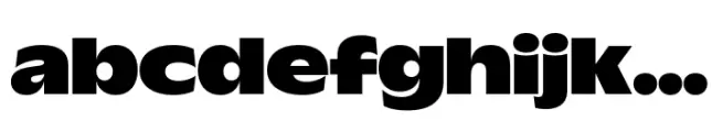 Wordmark Display Bold
