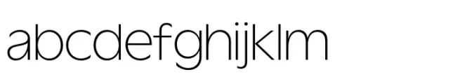 Wordmark Display Light