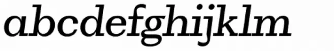WT Volkolak Serif Caption Light Italic