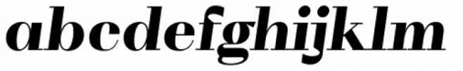 WT Volkolak Serif Poster Black Italic