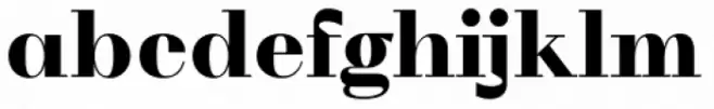 WT Volkolak Serif Poster Black