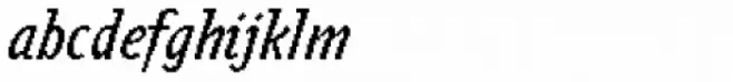 Zeitgeist Std Italic