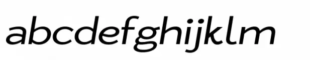 Zt Nezto Variable Italic